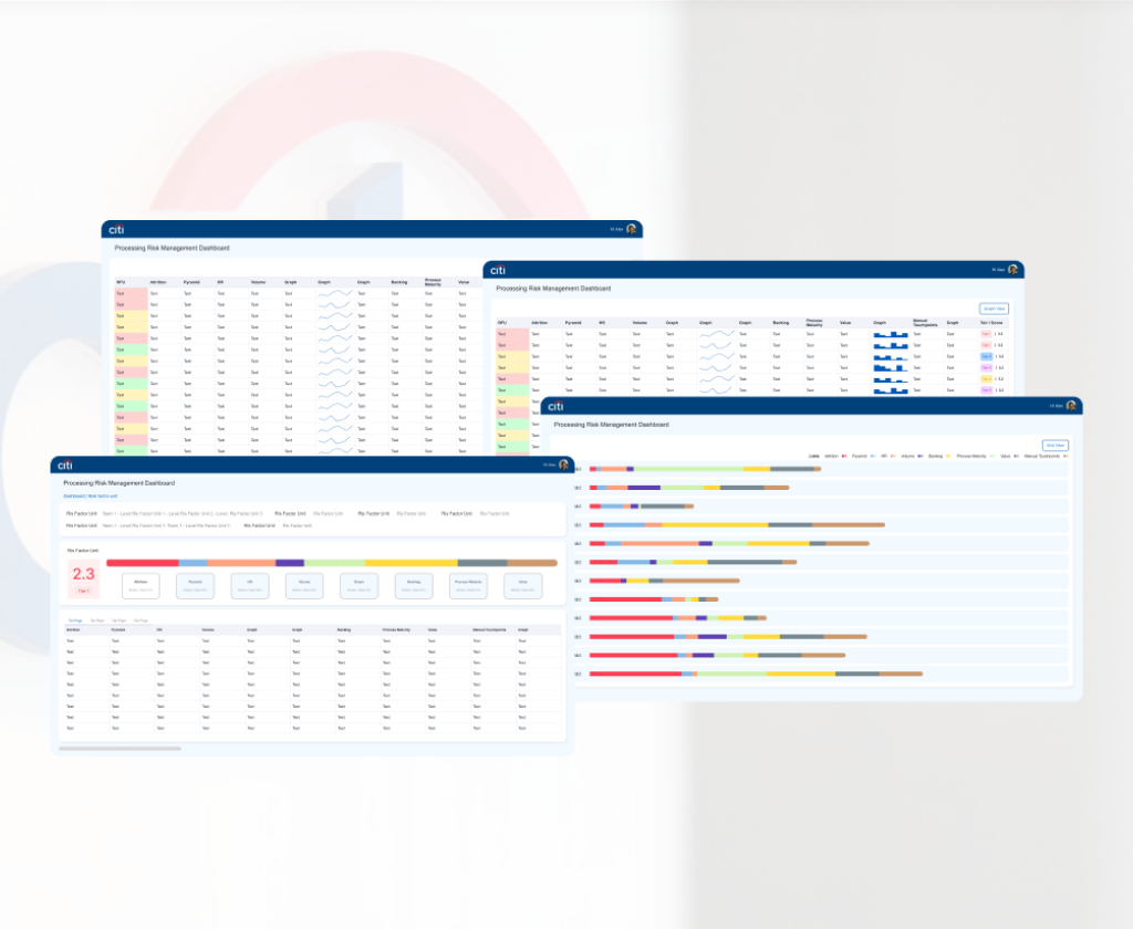 Citi Bank Processing Risk Management Procedure Tool Development