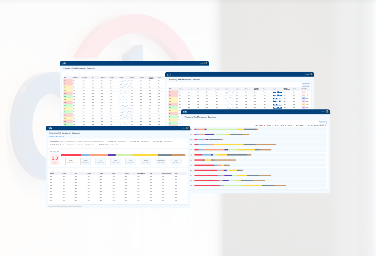 Citi Bank Processing Risk Management Procedure Tool Development